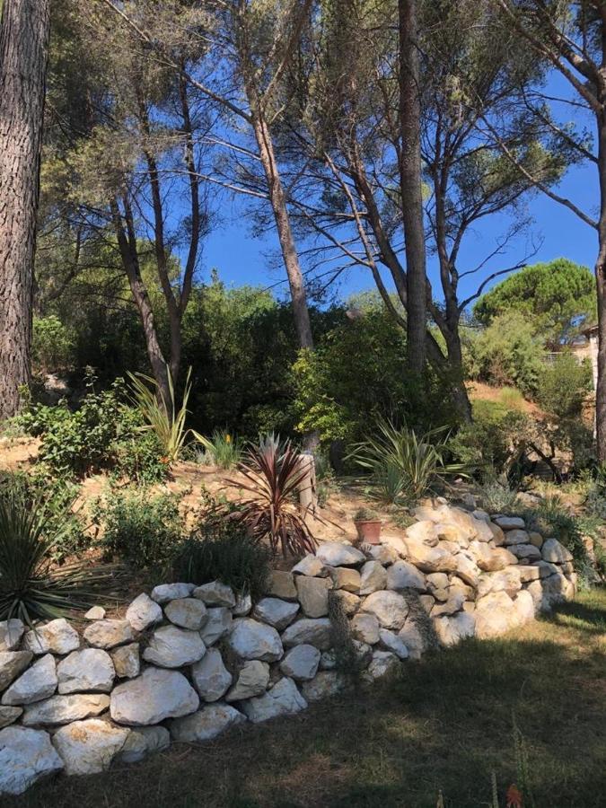 B&B Oasis Des Lavandes - Chambre Coqueliot Villeneuve-lès-Avignon Exterior photo
